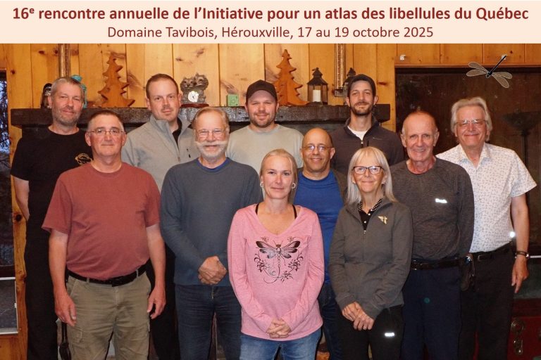 Les initiatives bénévoles pour l’inventaire et la conservation des insectes du Québec