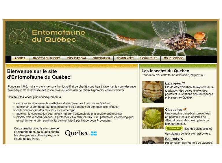 Notre site Web informationnel et son contenu rigoureux en français