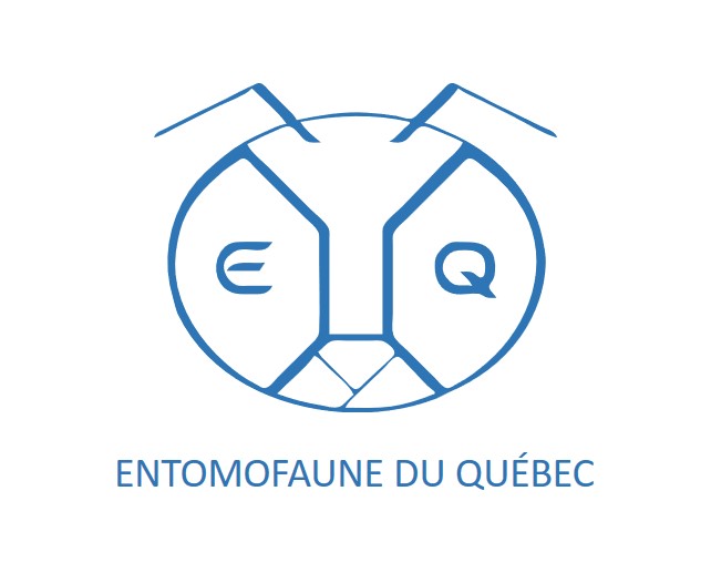 La survie de notre organisme de bienfaisance